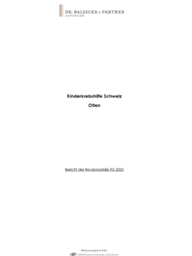Revisionsbericht 2025